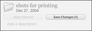 The Save Changes button is shown under a folder’s name when edits have been made to the images in the folder.