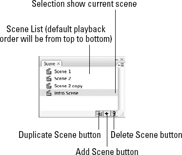 The Scene panel showing document scenes in the order they will play back by default