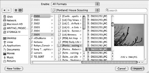 The Import dialog box as it appears on Mac OS X. You can import multiple files in the same batch by selecting them from the file list before clicking Import.