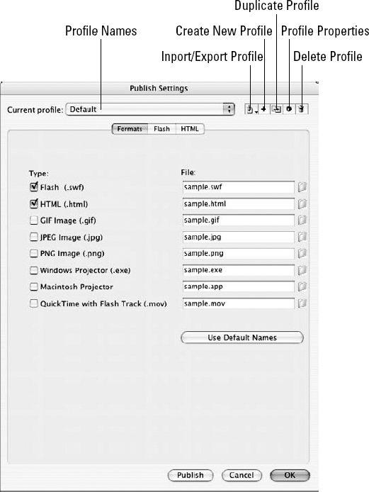 The Profile features in the Publish Settings dialog box