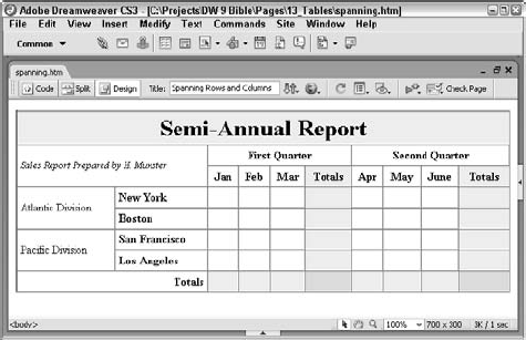 This spreadsheet-like report was built using Dreamweaver's row- and column-spanning features.