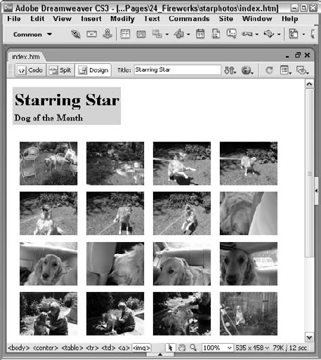 Here is the thumbnail gallery that Dreamweaver (with Fireworks' help) automatically created from the dialog box settings in Figure 24-14.