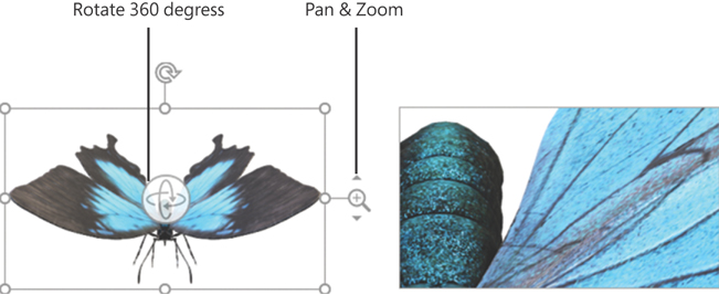 Composite image of a 3D model of a butterfly selected to display the handles and the same image zoomed and panned to display a magnified view of only a portion of the butterfly