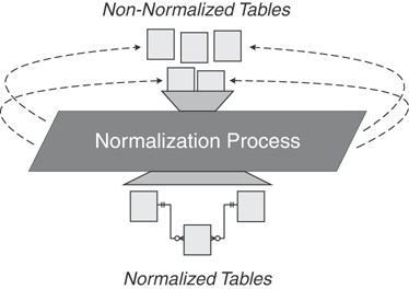 A figure presents the author’s view of the general normalization process.