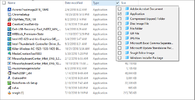 This partial screenshot shows the contents pane from a File Explorer window in Details view. A check mark is visible to the right of the Type heading, and directly below that is a list of 11 file types, each with a check box to its left.