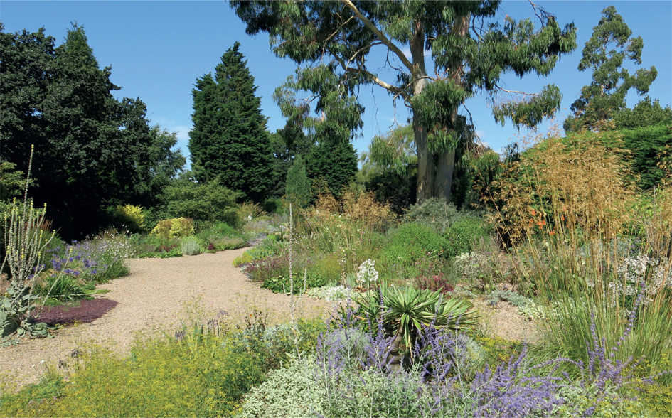 Figure 10.11 A garden with a selection of drought-tolerant species.