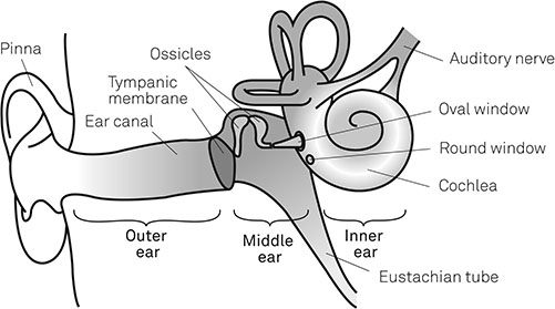 Figure 4-02 The Human Ear