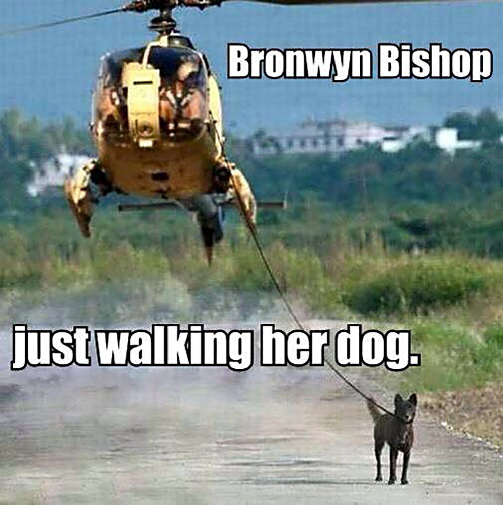 Meme displaying a dog on the ground tied from a helicopter with text, “Bronwyn Bishop just walking her dog.”
