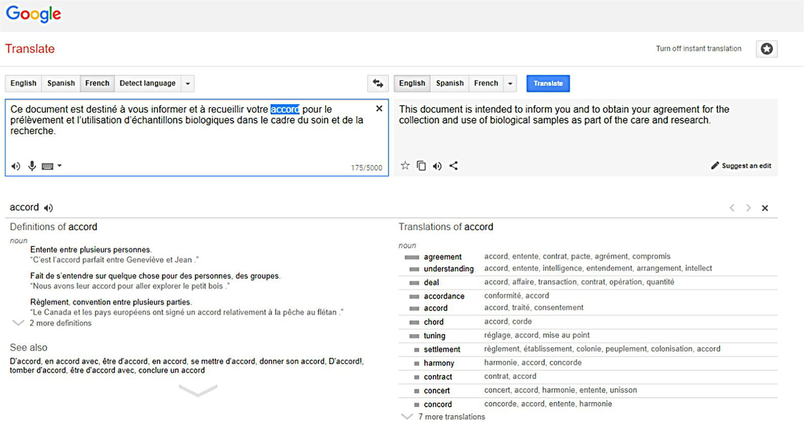 Screenshot displaying a range of potential translations for the highlighted term in Google Translate.