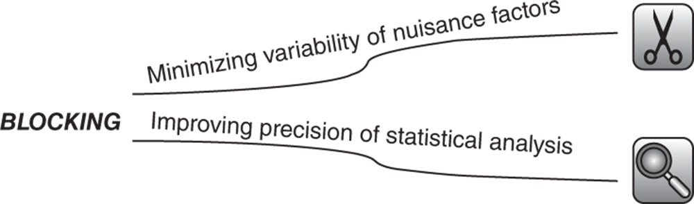 Diagrammatic illustration of the advantages of blocking: Minimizing variability of nuisance factors and Improving precision of statistical analysis.