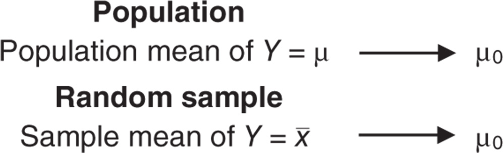 Illustration of the sample mean used draw conclusions about the population mean.