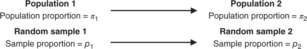Illustration of two proportions test. It uses two independent random samples selected from two populations. The sample proportions is used to draw conclusions about the population proportions.