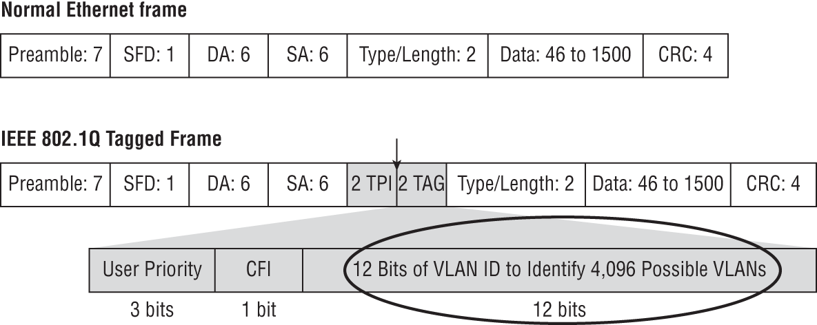 Schematic illustration of the VLAN ID field is 12 bits long, which indicates that over 4000 VLAN IDs can be created from the 12-digit combinations of ones and zeros.
