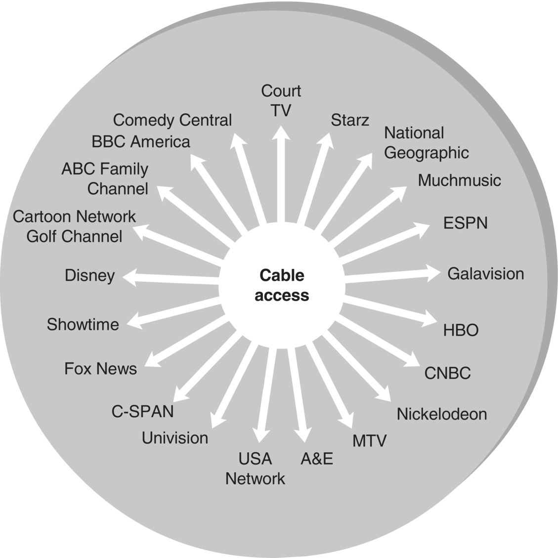Diagram displaying a disk having a circle at the center labeled “Cable access” with radiating arrows leading to “Court TV,” “Starz,” “National Geographic,” “Muchmusic,” “ESPN,” “Galavision,” “HBO,” “CNBC,” etc.
