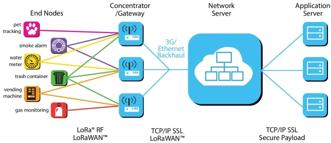Diagram illustrating the architecture of LoRA featuring application server, network server, concentrator/gateway, and end nodes.