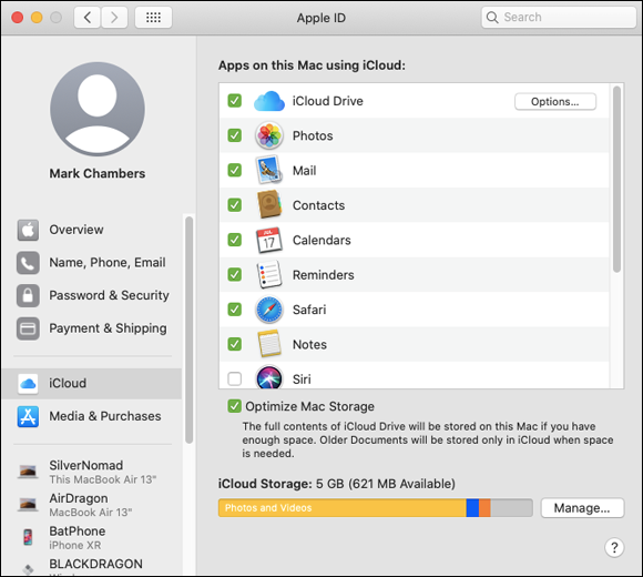 Screenshot of Apple ID pane displaying selected apps on the Mac using iCloud. iCloud storage is displayed at the bottom, with Manage button.