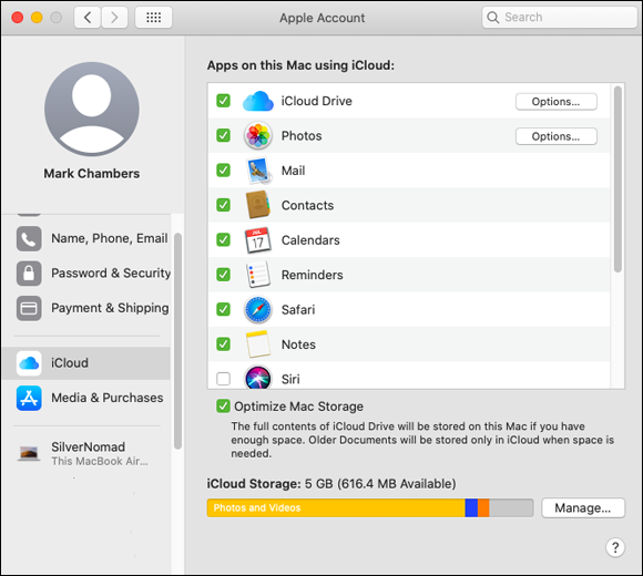 Screenshot of Apple Account pane in the iCloud panel.