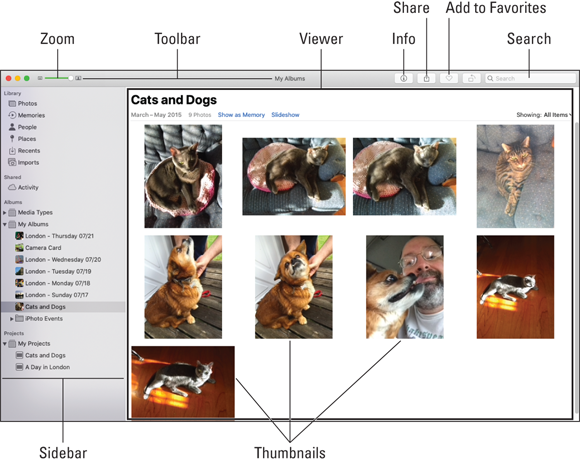 Screenshot of Photos window marking the Zoom slider, toolbar, viewer with thumbnails, Info icon, Share button, Add to Favorites button, Search box, and sidebar.