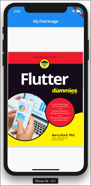 Snapshot of the display on the device’s screen which look inside that Flutter For Dummies book.