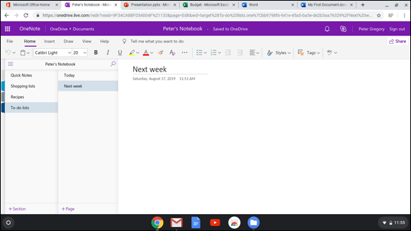 Snapshot of initial screen of OneNote’s with categories chosen in the tour.