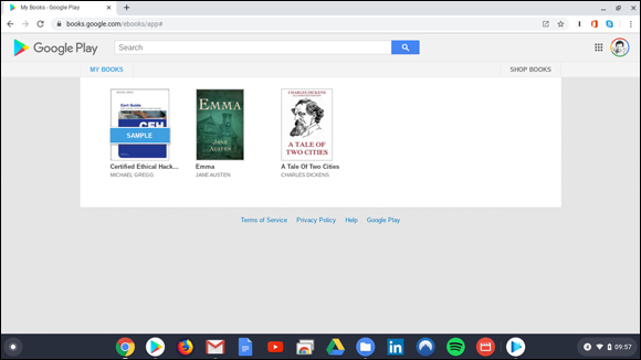 Snapshot of Google Play Books in the Chrome browser.