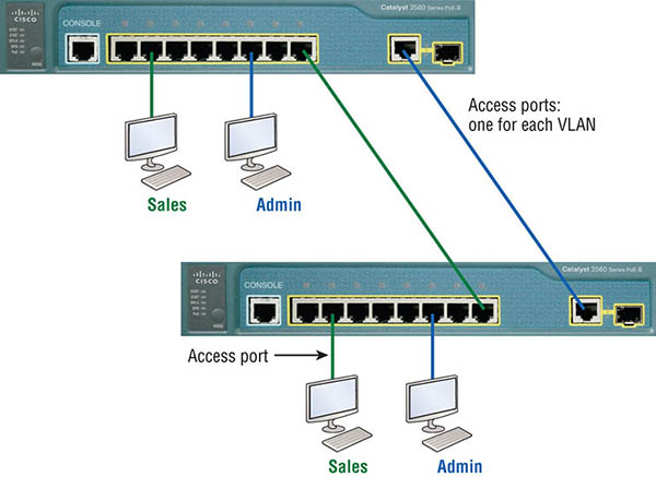 The figure shows access ports in a switched environment. 