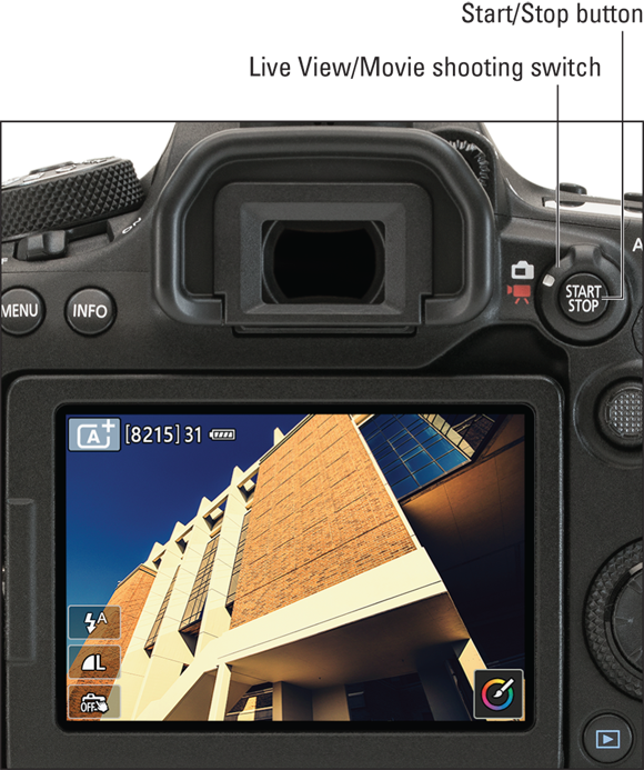 Photo illustration of the Live View Mode, in which a live preview of a subject appears on the monitor, and viewfinder disabled.