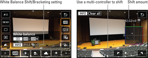 Photo illustration of a projection screen in Live View or Movie mode.