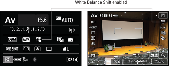 Illustration of the symbols that apply White Balance Shift onto the projection screen image.