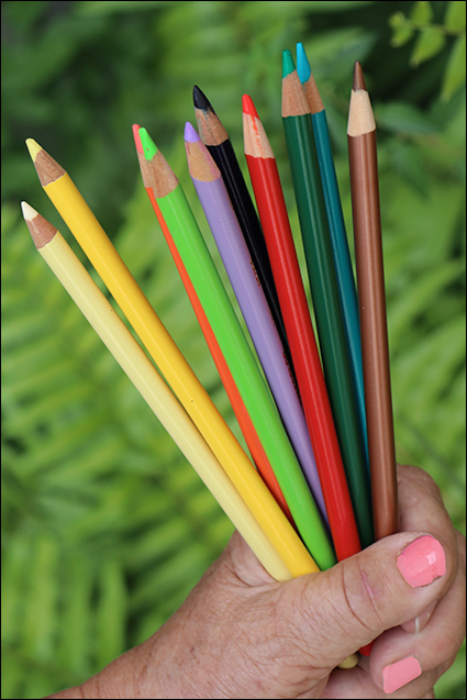Photo illustration of a hand holding color pencils.