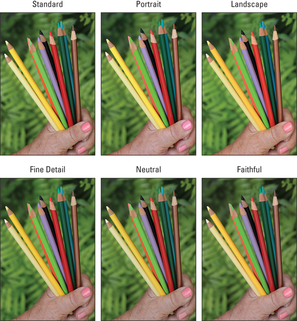 Photo illustration of a hand holding color pencils in six variations: standard, portrait, landscape, fine detail, neutral, and faithful.