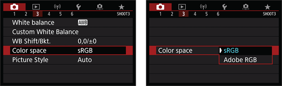 Illustration of the Color Space option selected.