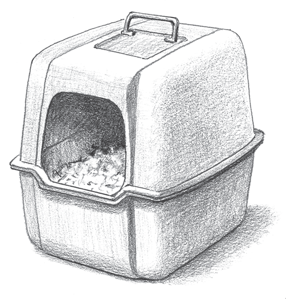 Image of a free-standing portable nest box with a handle on top, used for easily collecting eggs without stooping and moving between coops.