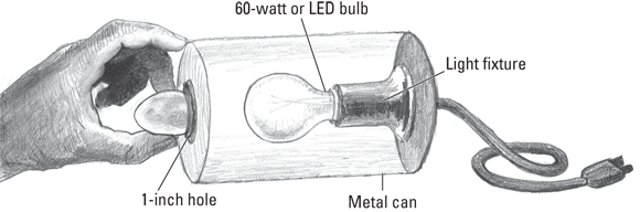 Image depicting the making of an egg candler made up of a metal can with a 1-inch hole, light fixture, and a 60-watt or LED bulb.