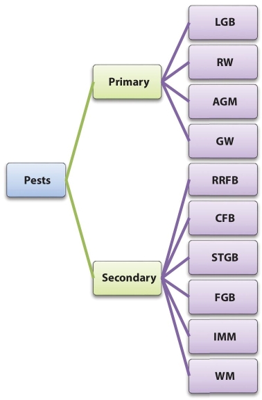 Flow diagram illustrating pet classification over SG, with lines from “Pests” to “Primary” and “Secondary” leading to “LGB,” “RW,” “AGM,””GW,” “RRFB,” “CFB,” “IMM,” and “WM.”