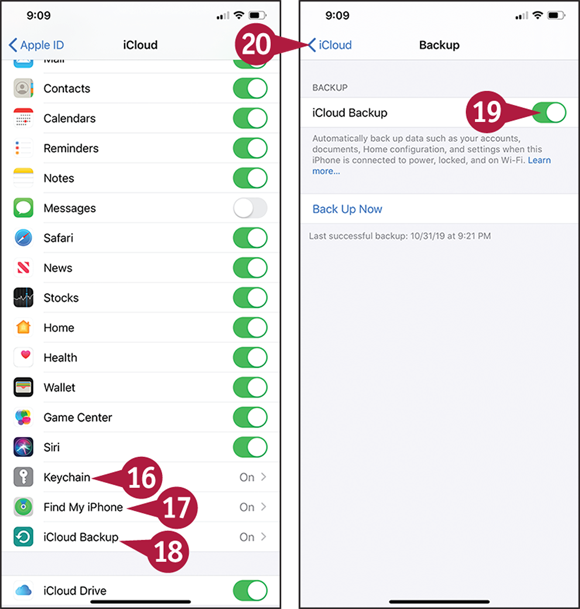 Screen captures depicting Choose Which iCloud Items to Sync with 16 to 20 marked.
