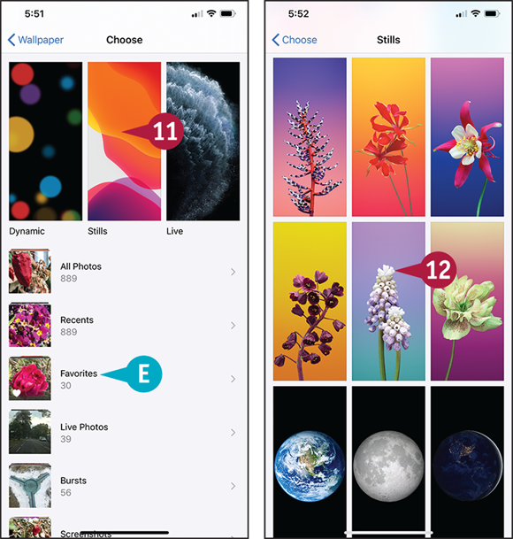 Screen captures depicting Setting Appearance, Brightness, and Wallpapers with 11, 10 and E marked.