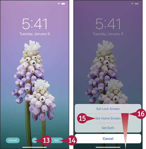 Screen captures depicting Setting Appearance, Brightness, and Wallpapers with 13 to 16 marked.