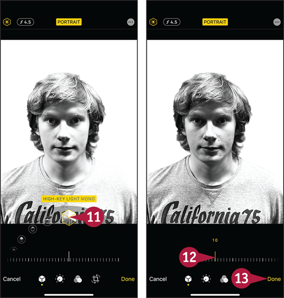 Screen captures depicting Using Portrait Mode with 11 to 13 marked.