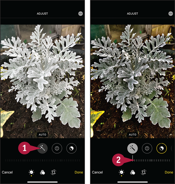 Screen captures depicting Enhancing the Colors in a Photo with 1 to 2 marked.