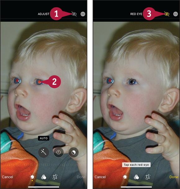 Screen captures depicting Removing Red Eye from a Photo with 1 to 3 marked.