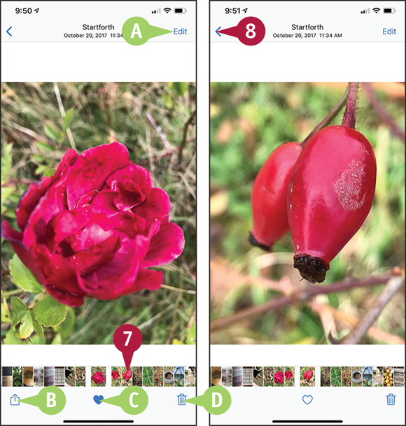 Screen captures depicting Browsing Photos Using Years, Collections, and Moments with 7 to 8 marked.