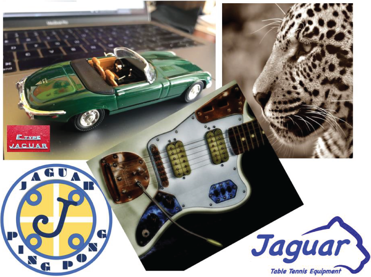 Photo depicts the jaguar which can also represent a lot of different things, such as a type of car, a ping-pong team, an animal,