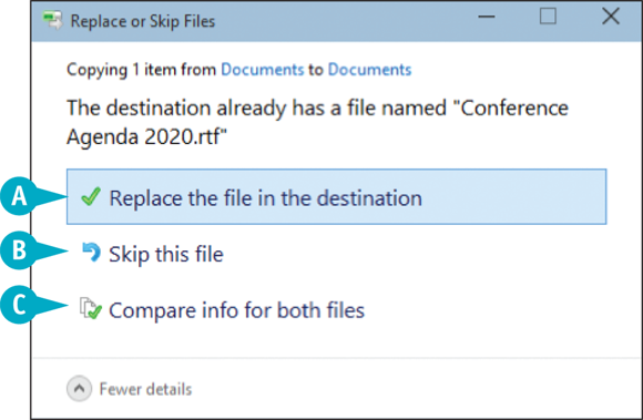 Snapshot of the replace or skip files dialog box.