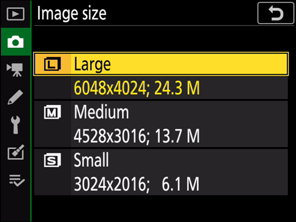 Illustration of the Image Size command displaying the different image size options, with the Large option highlighted.