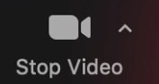 Image of the Stop Video icon that enables and disables your video.
