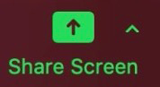 Image of the Share Screen icon that prompts you to share a screen with webinar attendees.
