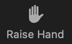Image of the Raise Hand icon indicating that you require attention. This action notifies the panelist host or co-host.