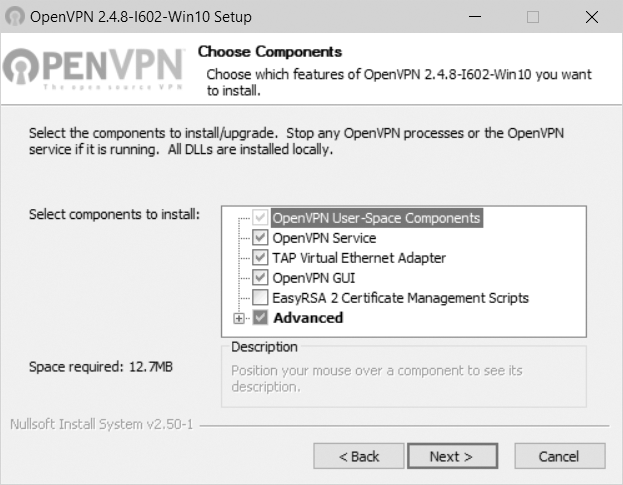 A screenshot of the Open V P N 2 point 4 point 8 hyphen I 6 0 2 hyphen Win 10 Setup dialog Box.