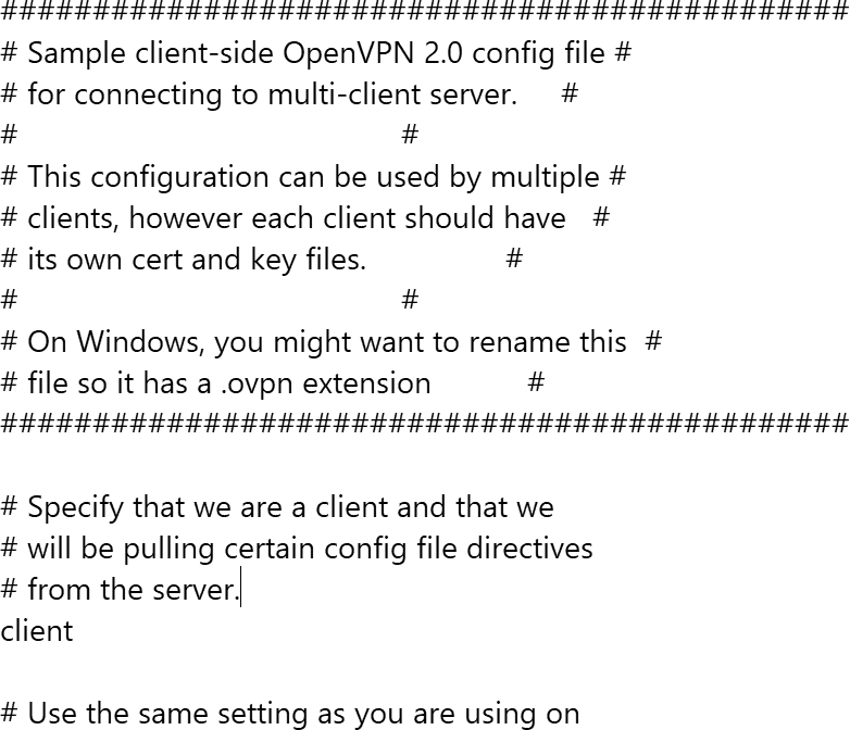 A screenshot of a portion of the client dot o p v n sample file in Open V P N.